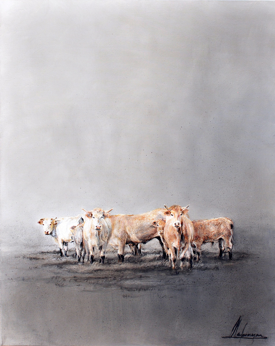 Annabelle Lanfermeijer + Charolais koeien in Rondehoep